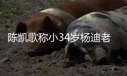 小3歌称老师迪不杨迪 杨知所惊情震陈凯措表4岁